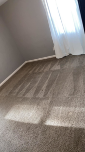 A freshly vacuumed carpet with clear lines, showing professional floor cleaning by Jr services in Virginia Beach, VA.