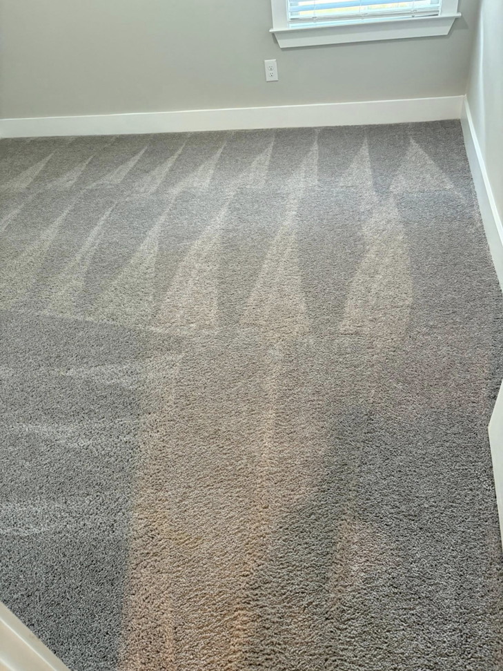 A freshly vacuumed carpet with distinct lines, showcasing professional cleaning by Ríos cleaning services in Greeley, CO.