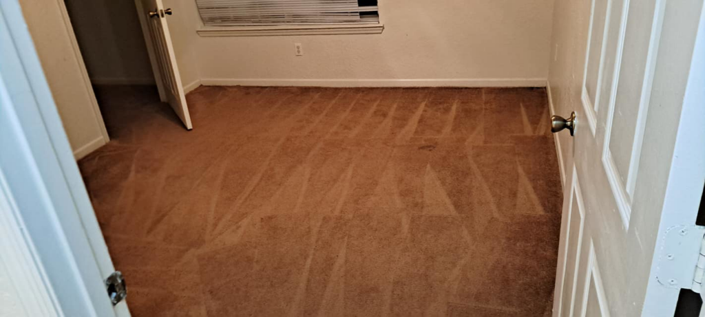 A freshly vacuumed carpet with distinct lines in a room cleaned by Solid Rock Cleaning Company LLC in Orlando, FL