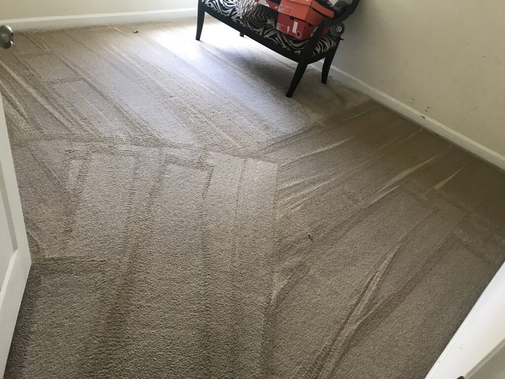 A freshly vacuumed carpet with distinct lines, cleaned by West & Co Cleaning Services in Laurel, MD