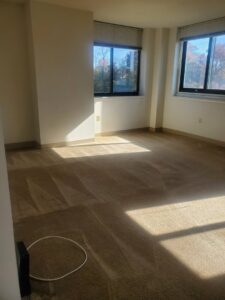 A freshly vacuumed carpet with distinct lines, demonstrating the professional cleaning service by Maids of Hartford in Hartford, CT.