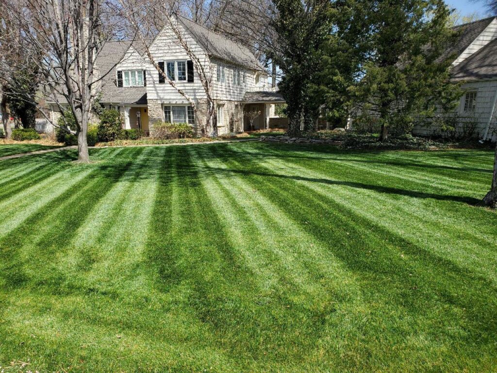 A pristine front yard lawn with beautiful mowing stripes in front of a house, cared for by A & B Lawn Service LLC in Baytown, TX.