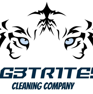 G3tr1te Cleaning Company