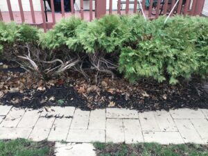 Garden bed cleanup and mulching service by Lovett lawn care & snow removal in Omaha, NE.