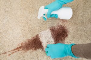 Gloved hands spraying a cleaning solution on a carpet stain, demonstrating effective house cleaning by Full Circle Commercial Cleaning in Scottsdale, AZ.