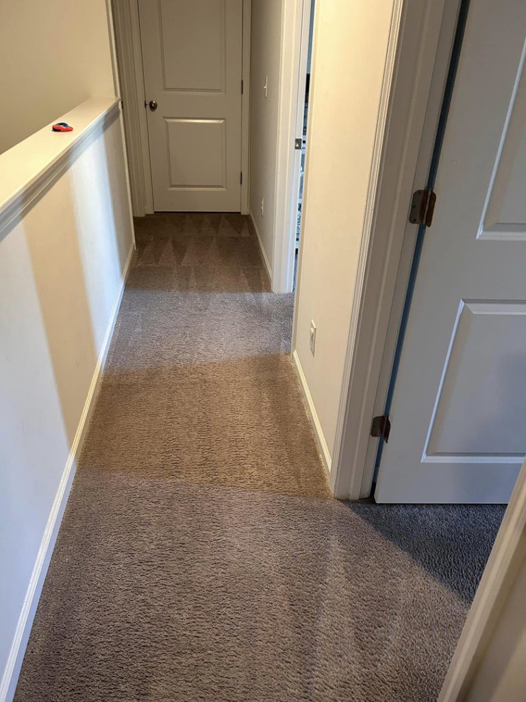 A freshly vacuumed hallway carpet with clear lines by Five Star Cleaning Service in Pasadena, MD.