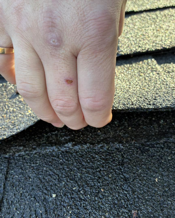 A hand inspecting a wet roof shingle, indicating a potential water leak, by Barbera Home Improvement in Parma, OH.