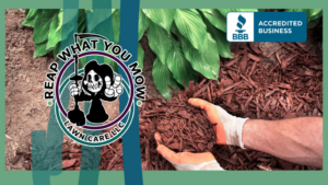 Hands applying fresh mulch to a garden bed by Reap What You Mow Lawn Care LLC in Springdale, AR