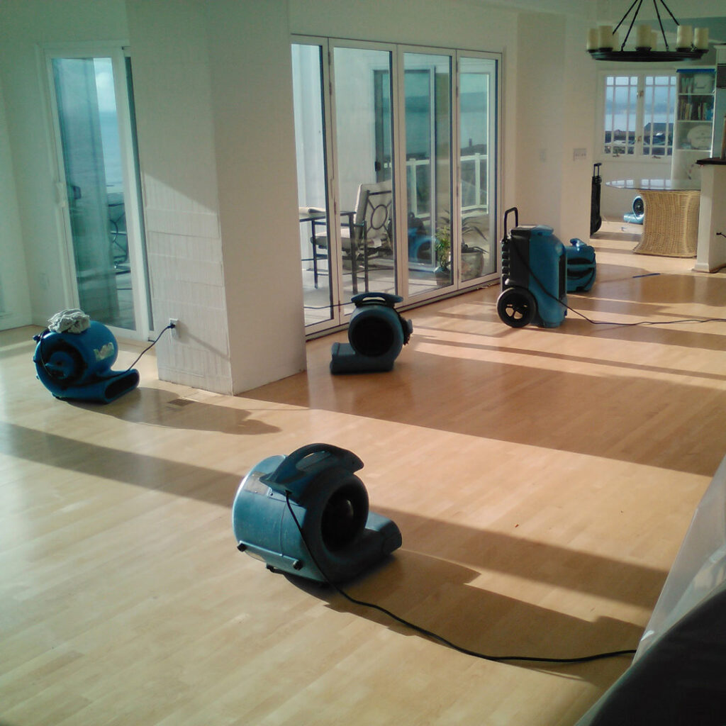 Multiple blue air movers drying a hardwood floor in a bright room, demonstrating water damage restoration by Absolute Water Mitigation & Restoration in Greeley, CO