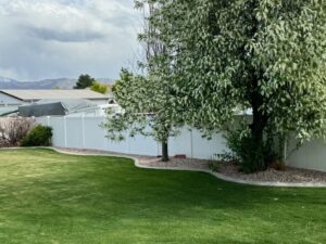 A healthy green backyard lawn with a white fence and flowering tree by Lakeside Lawn Care in Sanford, NC.