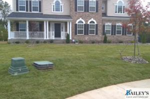 A healthy, vibrant green lawn in front of a residential home, maintained by Bailey's Lawn and Landscape in Smyrna, DE.
