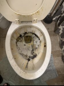 A heavily stained and dirty toilet bowl before deep cleaning by Nikki Sue's Cleaning Services in Gillette, WY.