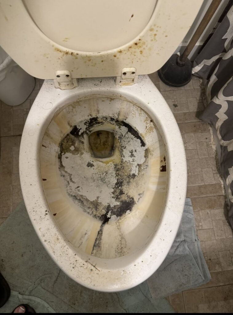 A heavily stained and dirty toilet bowl before deep cleaning by Nikki Sue's Cleaning Services in Gillette, WY.