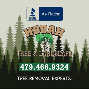 Hooah Tree and Landscape