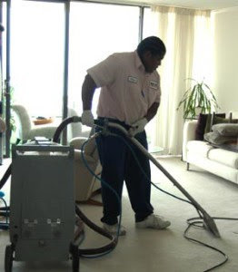 A house cleaner from ProClean365 performing carpet cleaning in a living room in Norfolk, VA.