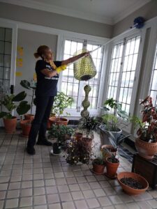 A house cleaner wearing gloves, dusting a light fixture in a sunroom for Creativity Cleaning LLC in Detroit, MI.
