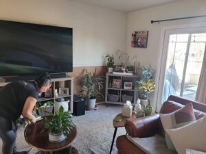 A house cleaner from ECO Friends cleaning service wiping down a coffee table in a cozy living room in Carson City, NV.