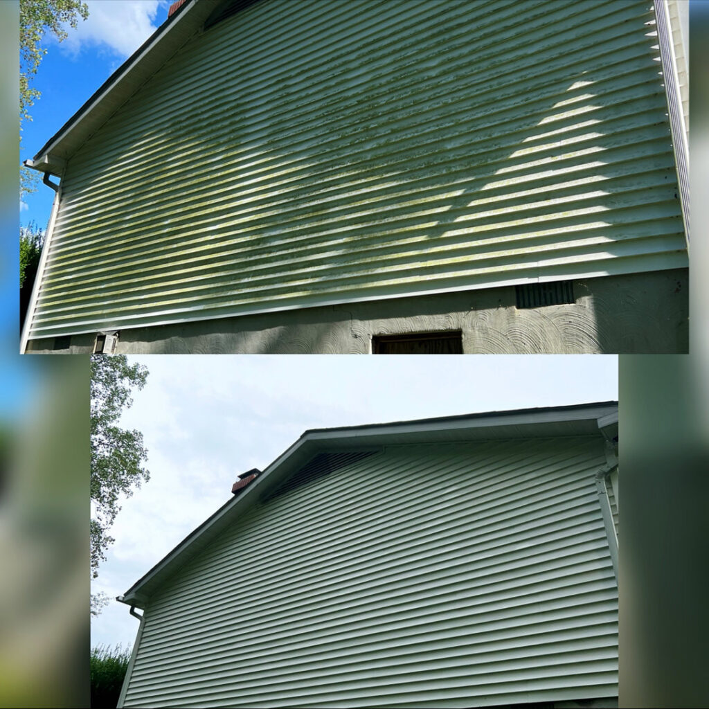 Before and after comparison of house siding cleaning by Miles Dynamic Cleaning in Baltimore, MD, showing removal of green algae