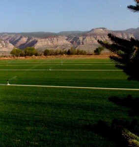 A large, irrigated sod field with mountains in the background, showcasing the operations of All American Sod LLC in Sandy, UT.