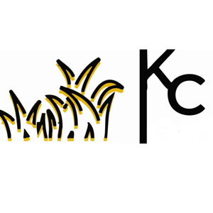 KC Services & Solutions