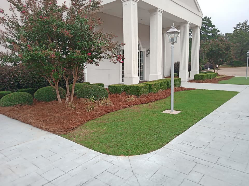 A beautifully landscaped commercial property with fresh pine straw mulch by Turner Lawn Care in Tupelo, MS.