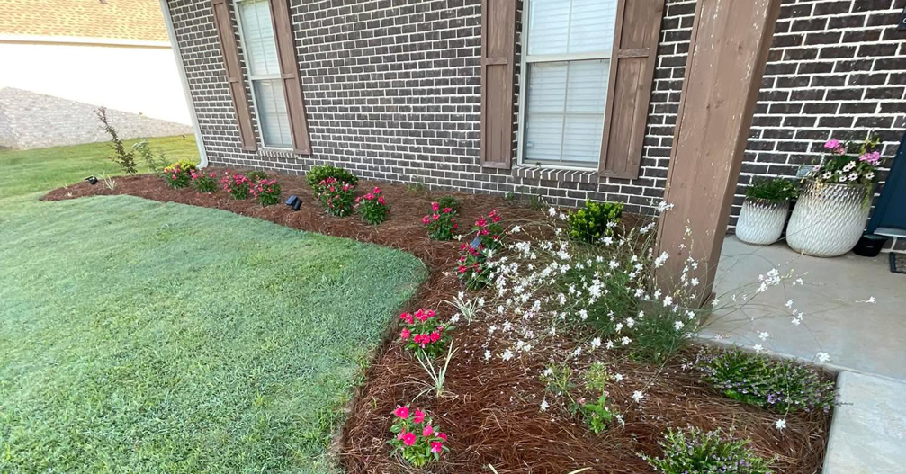 A beautifully landscaped garden bed with fresh pine straw mulch and colorful flowers, maintained by Big Buford's Lawn Care Service LLC in Tupelo, MS.