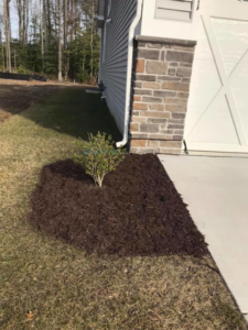 Professional landscaping with mulching and a newly planted shrub next to a driveway by Mike's Lawn Care Service in Dover, DE.