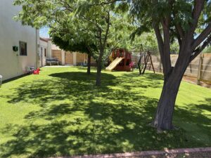 A large backyard with artificial grass, trees, and a playset installed by SYNLawn of New Mexico in Albuquerque, NM.