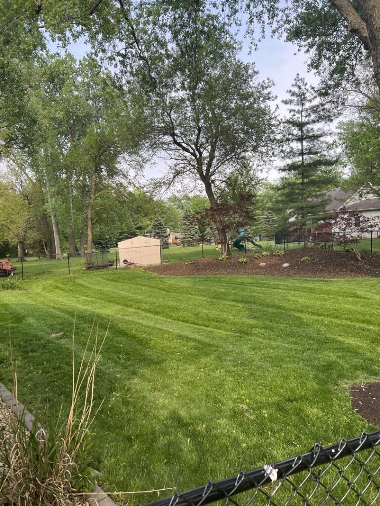 A large, freshly mowed backyard with distinct stripes, showcasing professional lawn care by Thompson Acres in Davenport, IA.