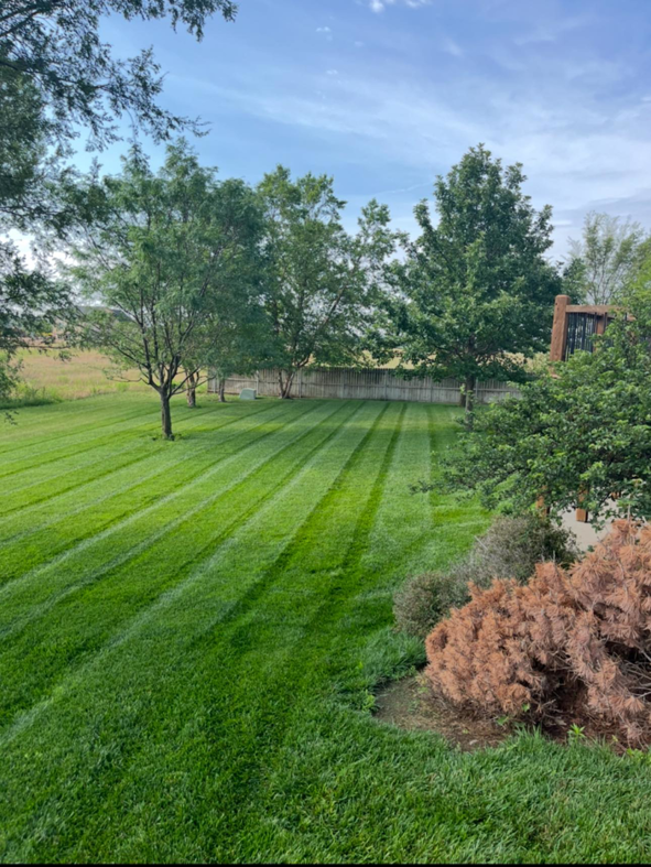 Large backyard area with freshly mowed lawn and straight stripes by EZ Cut Lawn Care & Landscaping, Crestview, FL.