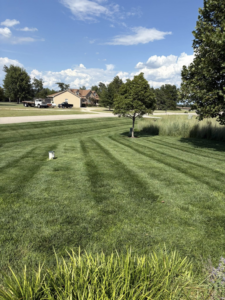 Large, perfectly mowed lawn with distinct stripes, showcasing professional lawn care by EZ Cut Lawn Care & Landscaping, Crestview, FL.