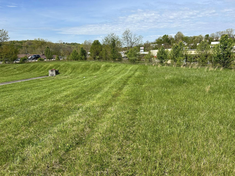 A large, freshly mowed lawn with distinct stripes, showcasing professional lawn care by Taylor's Trimmings in Parkersburg, WV.