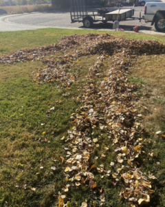 A large pile of autumn leaves gathered on a lawn, ready for cleanup by ResClean Property Maintenance in Rock Springs, WY.