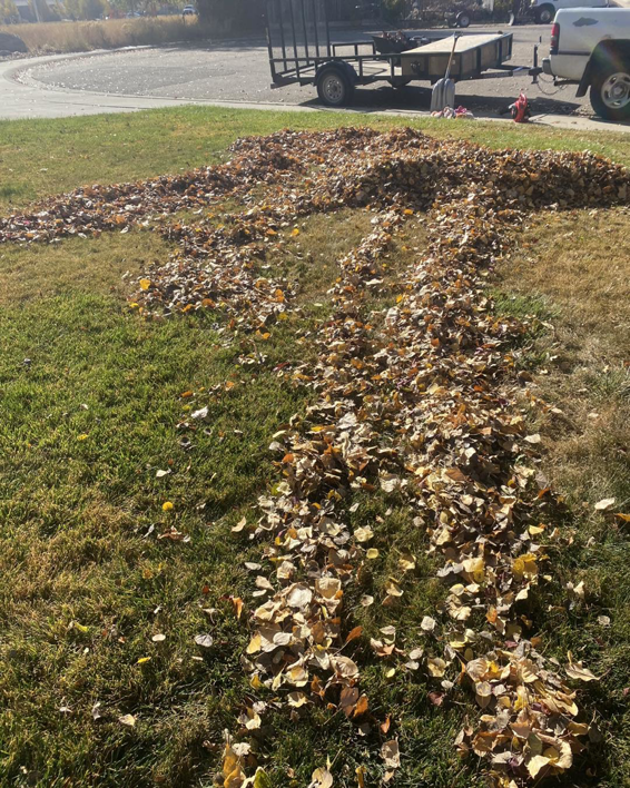 A large pile of autumn leaves gathered on a lawn, ready for cleanup by ResClean Property Maintenance in Rock Springs, WY.
