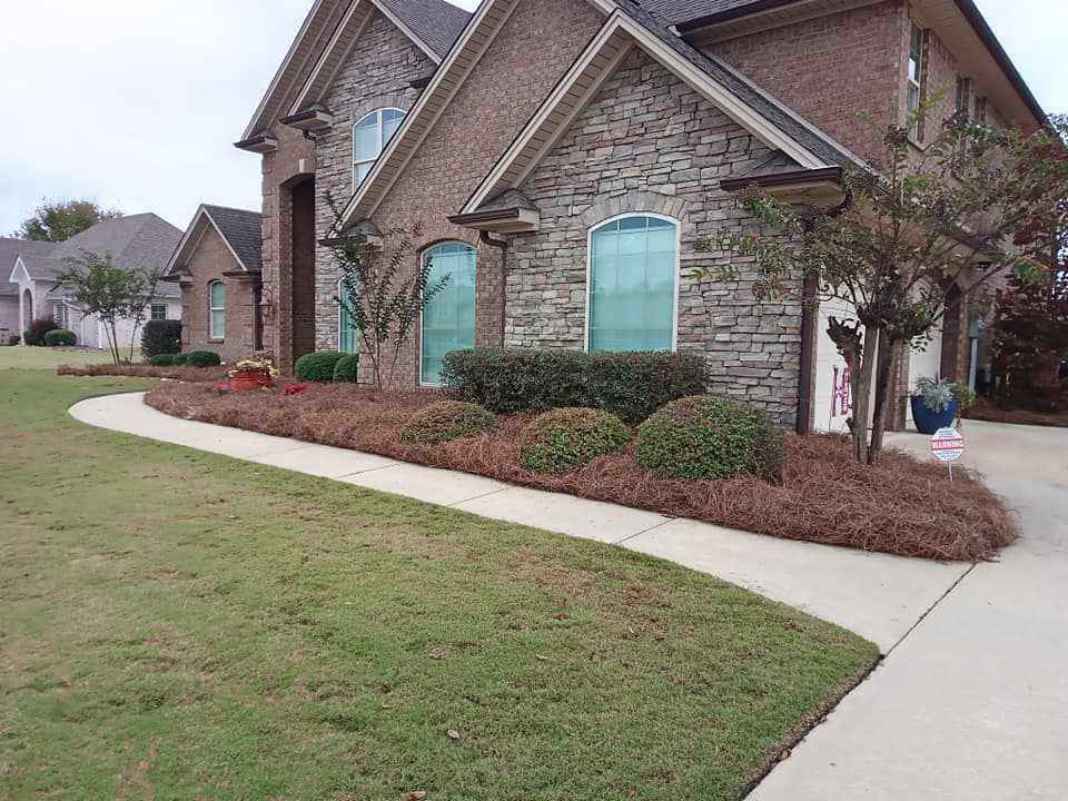 A large residential front yard with manicured lawn and pine straw landscaping by Turner Lawn Care in Tupelo, MS.
