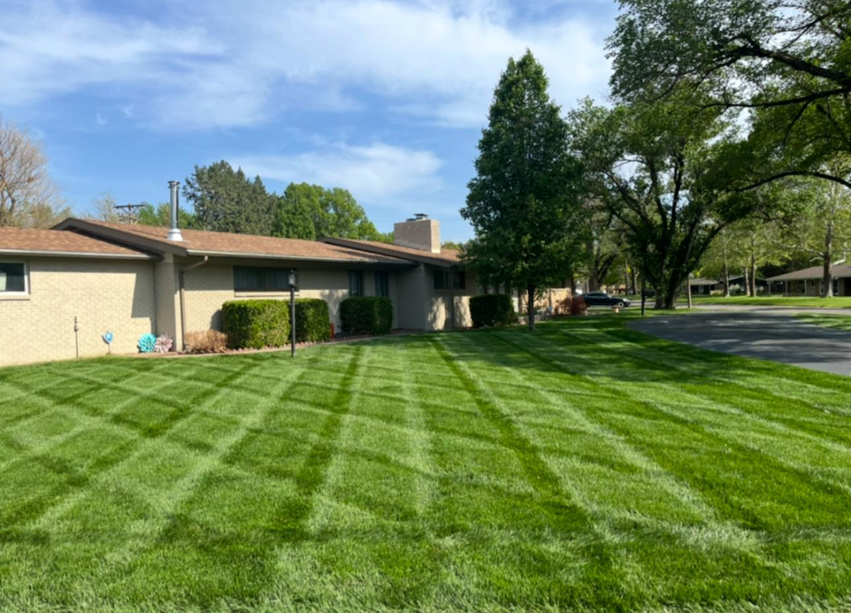 Large residential lawn with a precise criss-cross mowing pattern by EZ Cut Lawn Care & Landscaping, Crestview, FL.