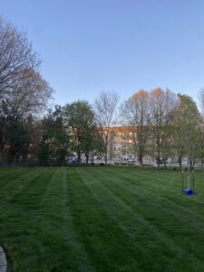 A large residential lawn expertly mowed with clean stripes by Ankeny Grass Guys, providing lawn care in Ankeny, IA.