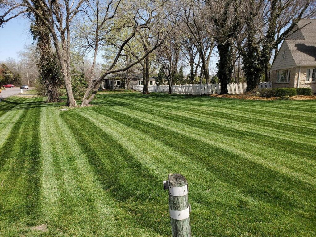 A large residential lawn showcasing professional mowing stripes, expertly maintained by A & B Lawn Service LLC in Baytown, TX.