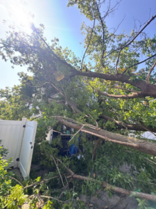Large tree fallen on a house, causing severe roof damage and potential water intrusion. 757 Freddy V, Water Damage Specialist, Cranston, RI.