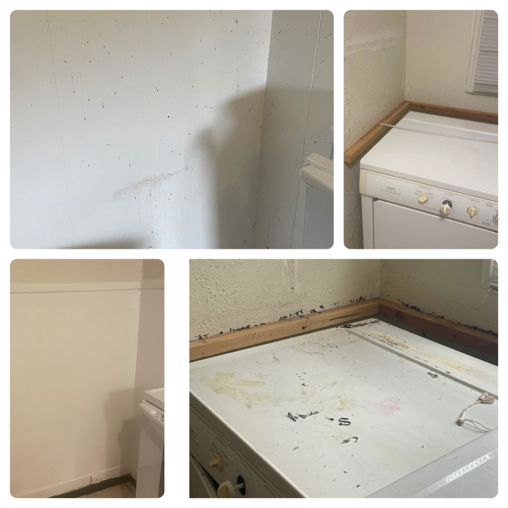 Before and after cleaning of a dirty laundry room by Optimum Commercial and Residential Cleaning LLC in Springfield, OR