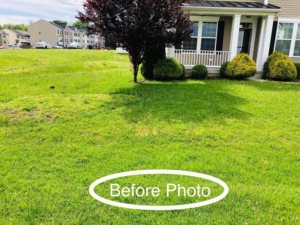 A lawn before professional care service by Valued Cleaning Service LLC in Martinsburg, WV