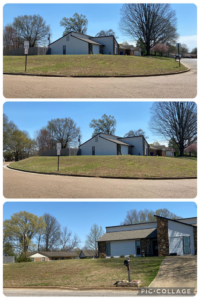 A collage of three photos showing a residential lawn before and after care by Klean Kutz Lawn Care in Olive Branch, MS