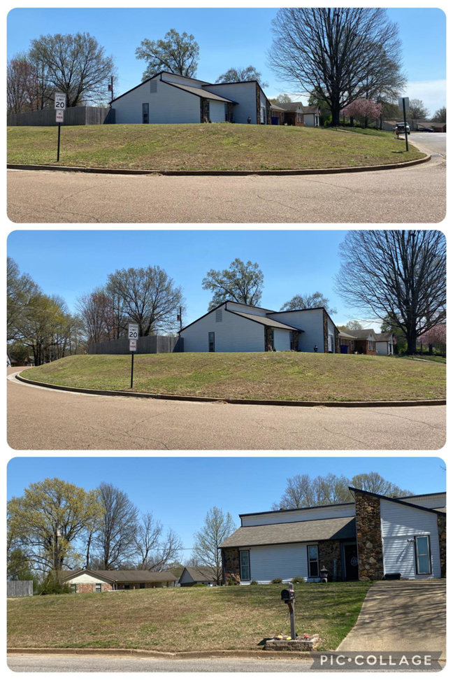 A collage of three photos showing a residential lawn before and after care by Klean Kutz Lawn Care in Olive Branch, MS