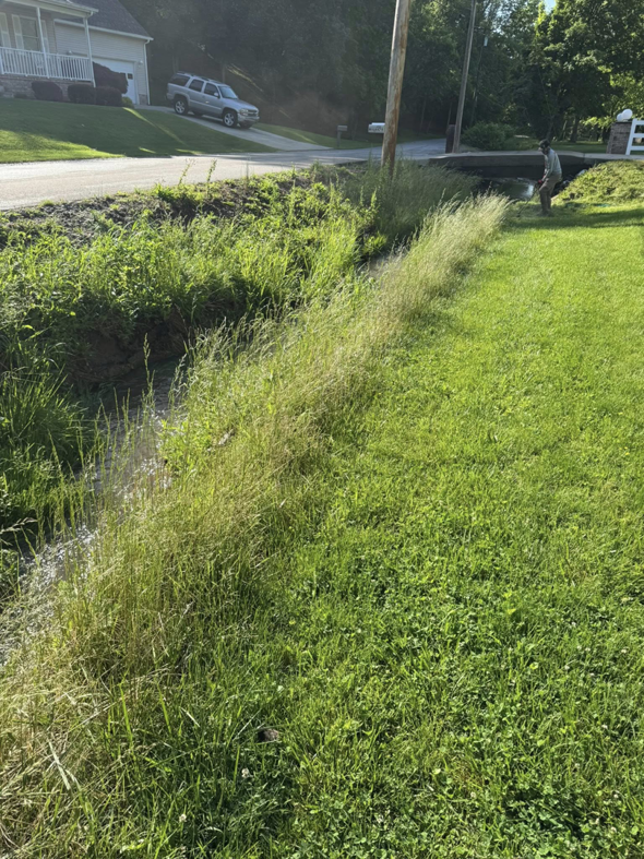A lawn care worker using a string trimmer to clear overgrown grass along a ditch for Ripley's Lawn Care, LLC in Charleston, WV.