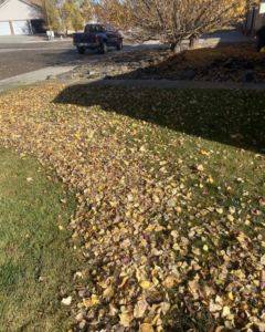 A residential lawn heavily covered with fallen autumn leaves, awaiting cleanup by ResClean Property Maintenance in Rock Springs, WY.