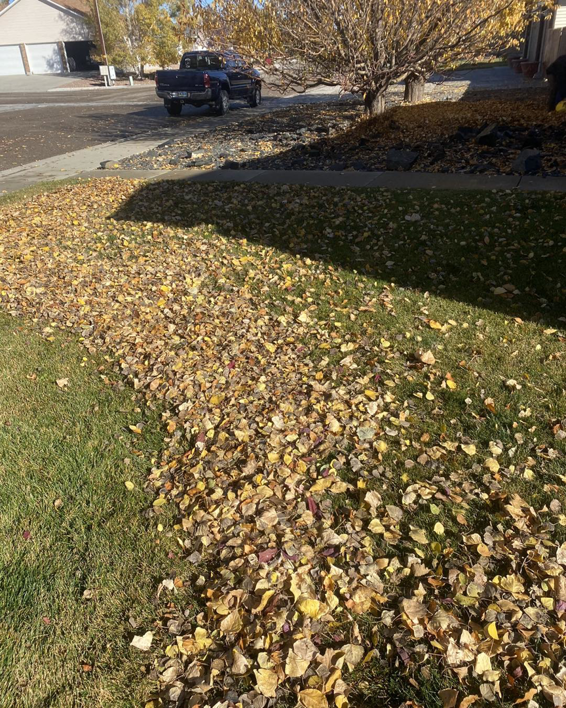 A residential lawn heavily covered with fallen autumn leaves, awaiting cleanup by ResClean Property Maintenance in Rock Springs, WY.