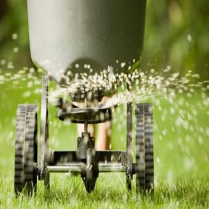A professional applying fertilizer to a lawn with a broadcast spreader, a service by Ankeny Grass Guys in Ankeny, IA.