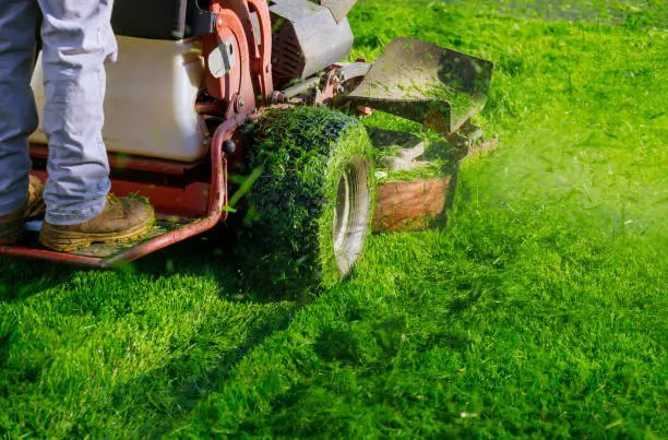 A powerful lawn mower cutting lush green grass, with clippings flying, by Backcountry Lawn Service in Missoula, MT.
