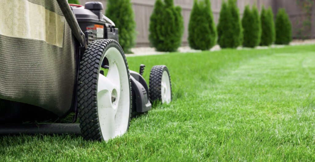 A lawnmower creating perfect stripes on a freshly cut lawn by Tee Time Lawn Care Davenport, IA.