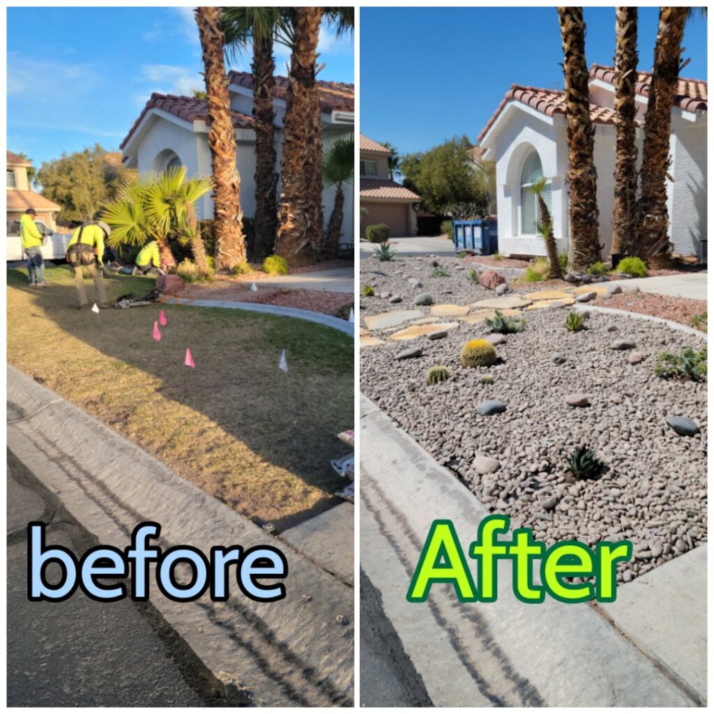 Before and after of a lawn transformed into a water-efficient xeriscape by Daniel's Lawn Care services in Las Vegas, NV.